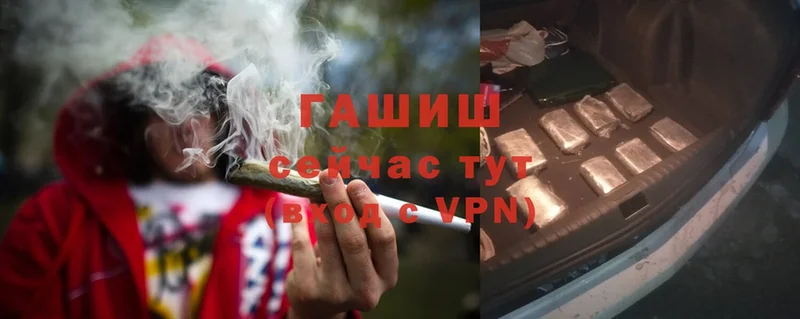 ГАШ Cannabis  Коркино 